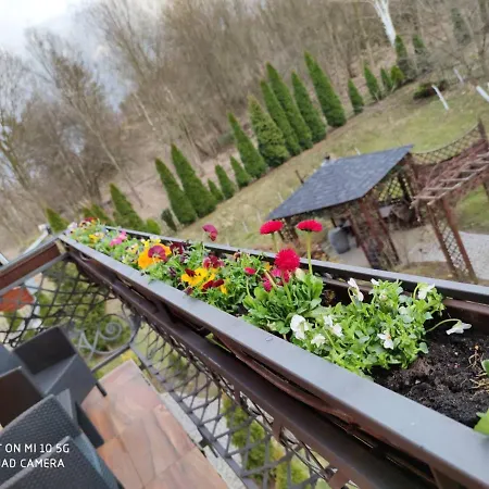 Kora Cieplice * Jelenia Gora