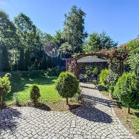 Kora Cieplice Jelenia Góra