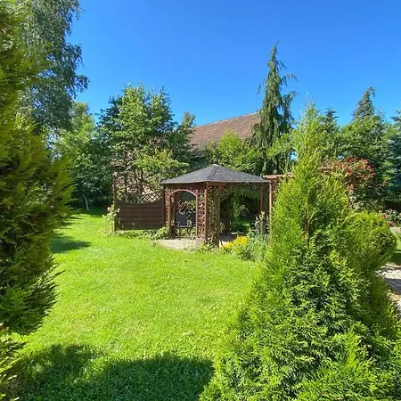 Kora Cieplice * Jelenia Gora