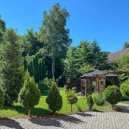 Kora Cieplice * Jelenia Góra