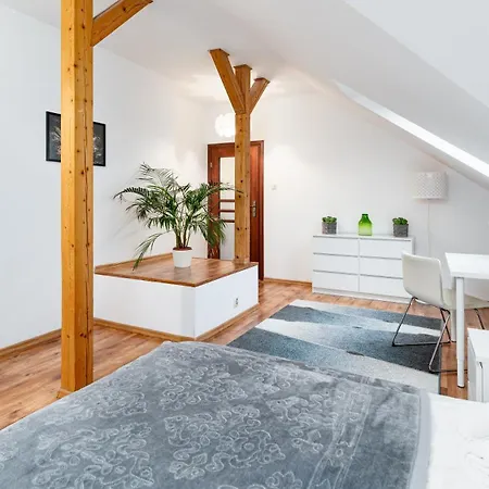 Kora Cieplice * Jelenia Gora