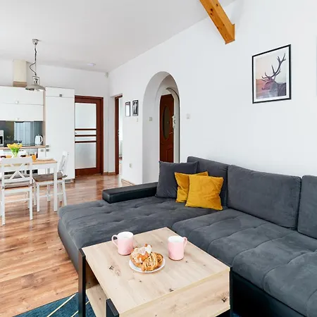 Kora Cieplice Jelenia Góra