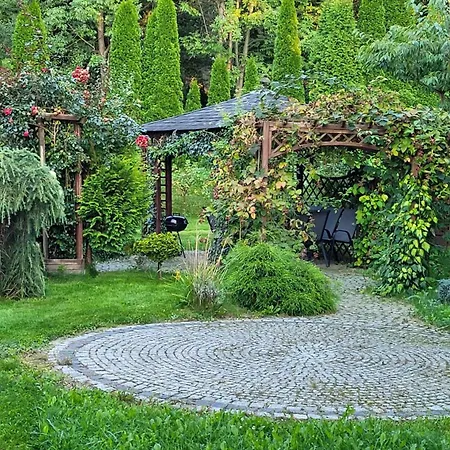 Kora Cieplice Jelenia Gora