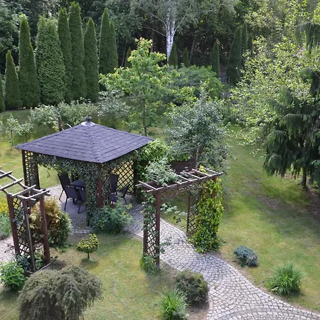 Kora Cieplice * Jelenia Góra