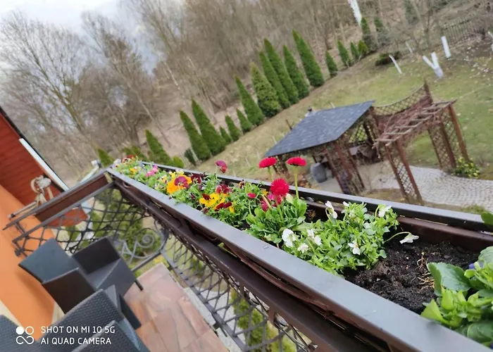 Kora Cieplice * Jelenia Góra