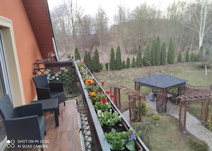 Kora Cieplice * Jelenia Góra