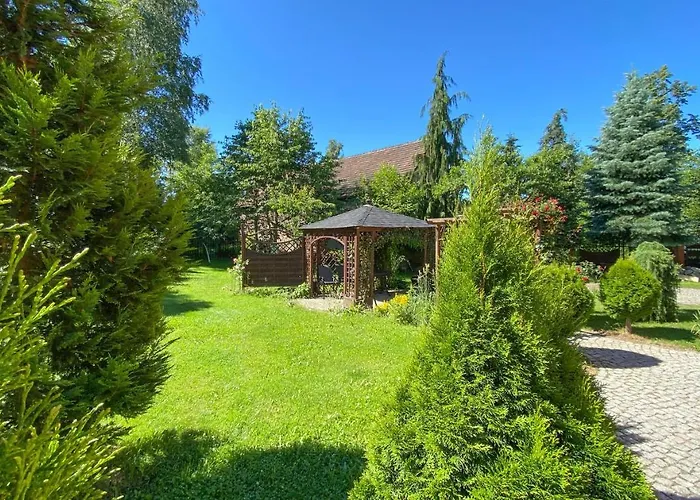 Kora Cieplice * Jelenia Góra