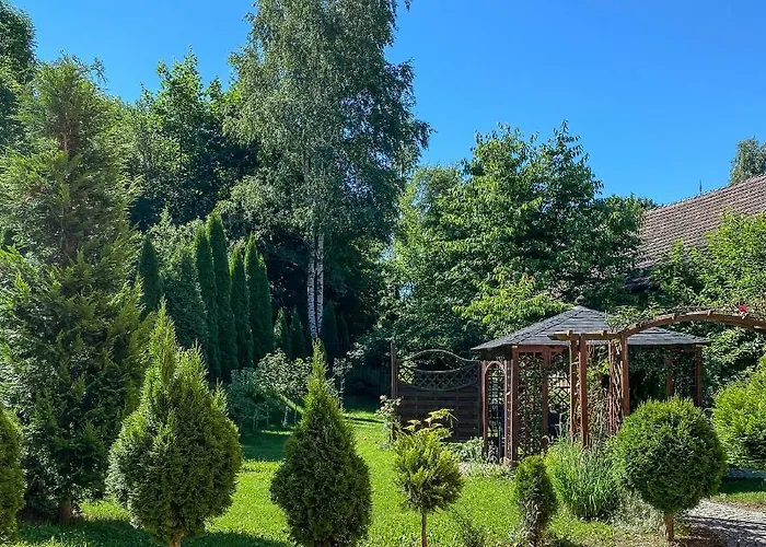 Kora Cieplice * Jelenia Góra