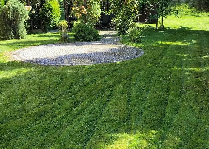 Kora Cieplice * Jelenia Góra