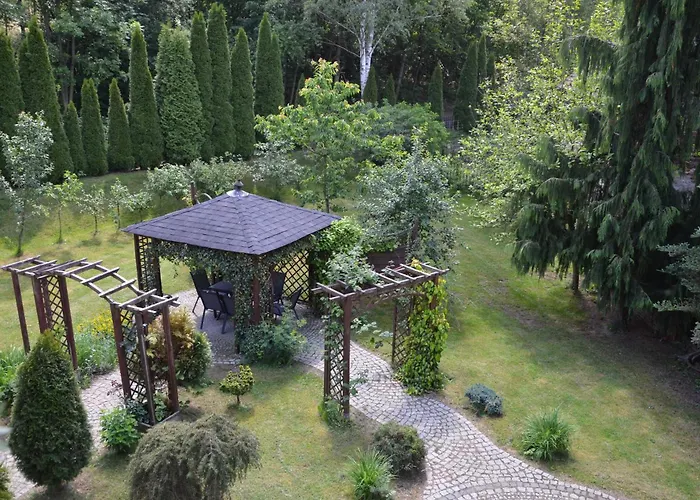 Kora Cieplice * Jelenia Góra